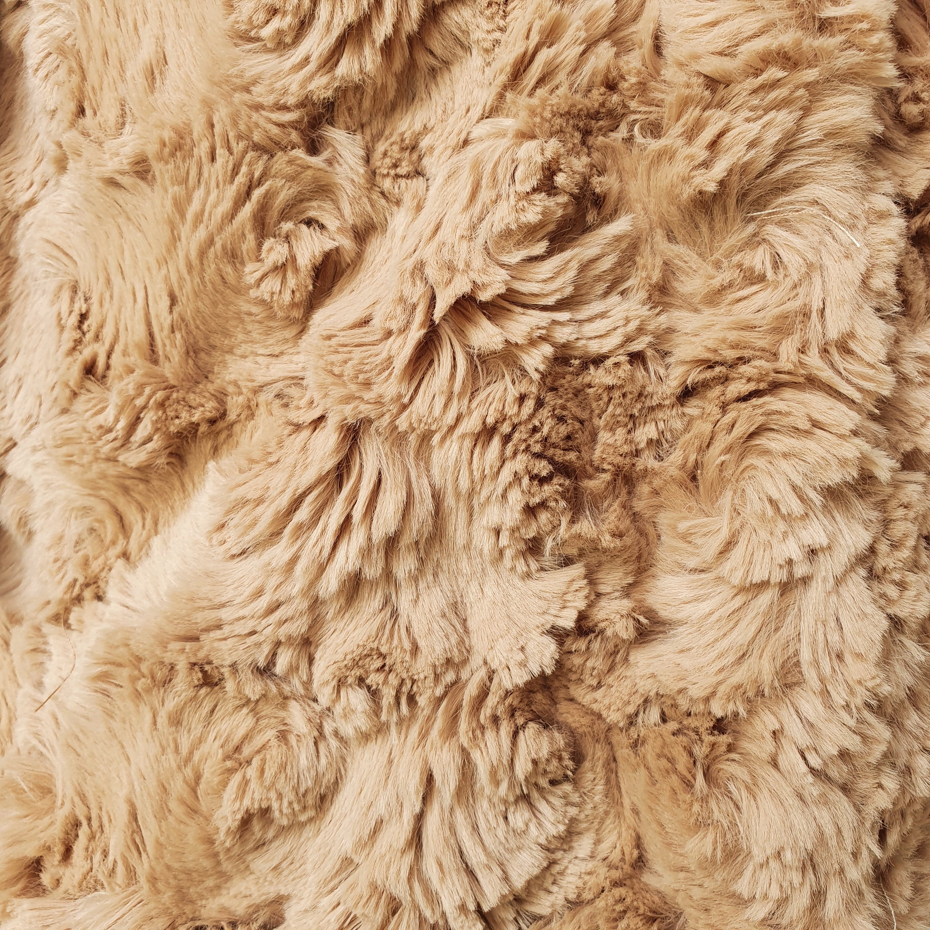 Teddy Bear Jacket - M - Image 5
